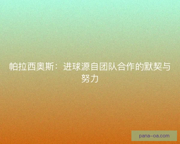 帕拉西奥斯：进球源自团队合作的默契与努力